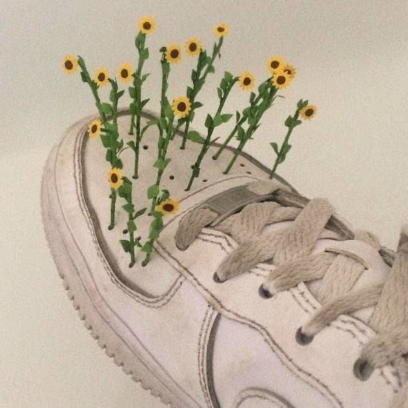 sunflower-vans